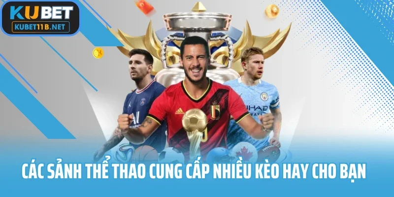 Các sảnh thể thao cung cấp nhiều kèo hay cho bạn
