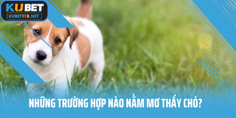 Những trường hợp nào nằm mơ thấy chó?