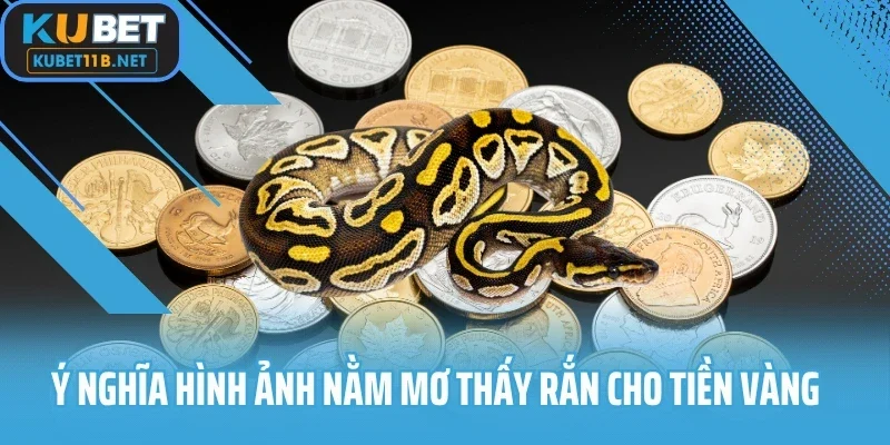 Ý nghĩa hình ảnh nằm mơ thấy rắn cho tiền vàng